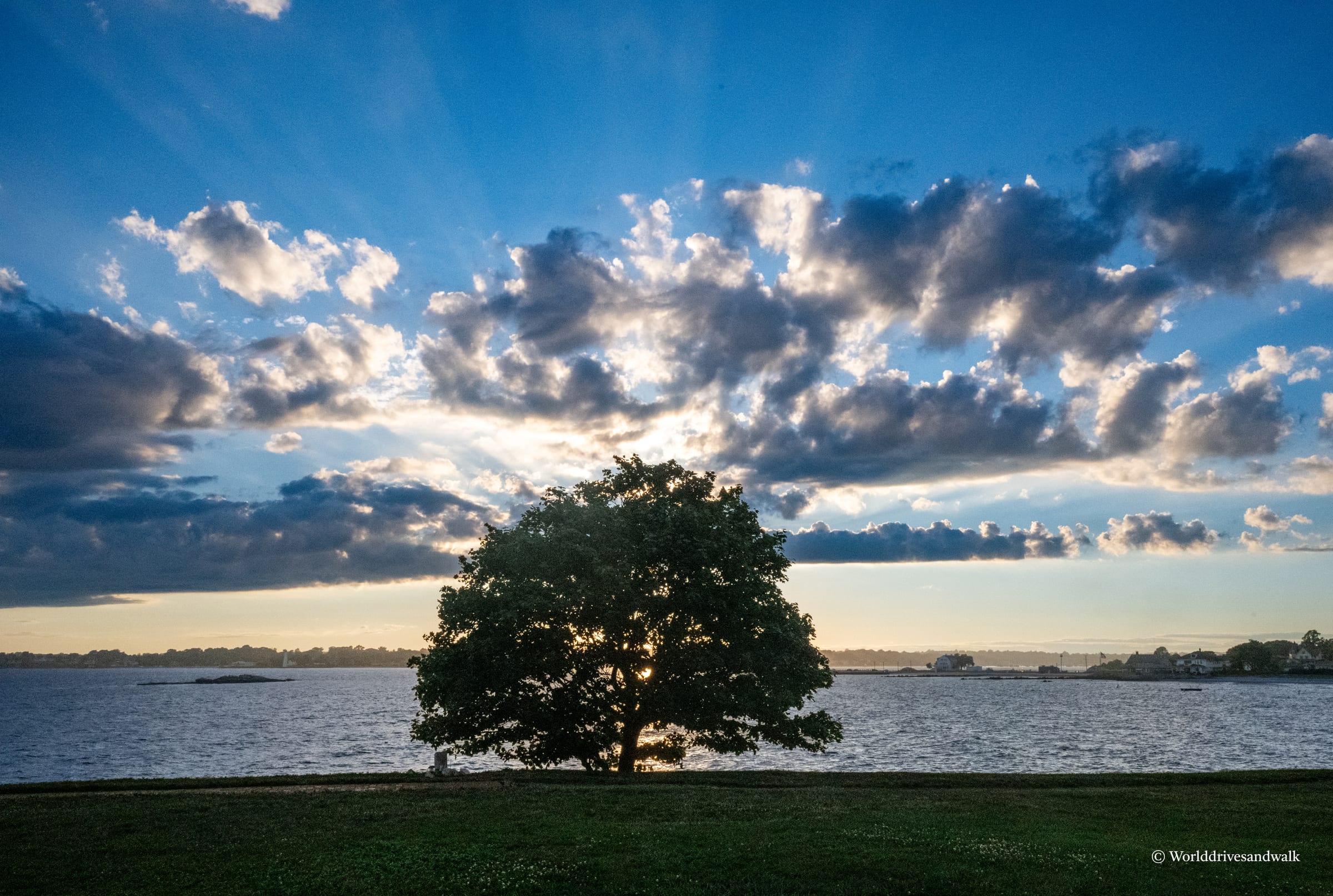 A full-leafed oak tree stands alone on a grassy shore facing Long Island Sound, backlit by golden sunlight. The sky above is filled with layered clouds in white and gray, with blue sky visible between them.